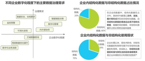 2022中國人工智能的數據治理行業研究報告 數據管理與處理服務探析