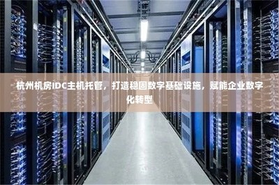 杭州IDC主機托管 構建穩(wěn)固數(shù)字基石，引領企業(yè)數(shù)字化轉(zhuǎn)型